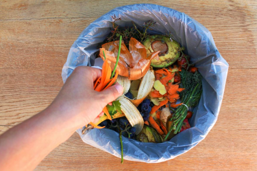 Por sacar comida de un basurero condenan a prisión en Austria a un activista ambiental cesante