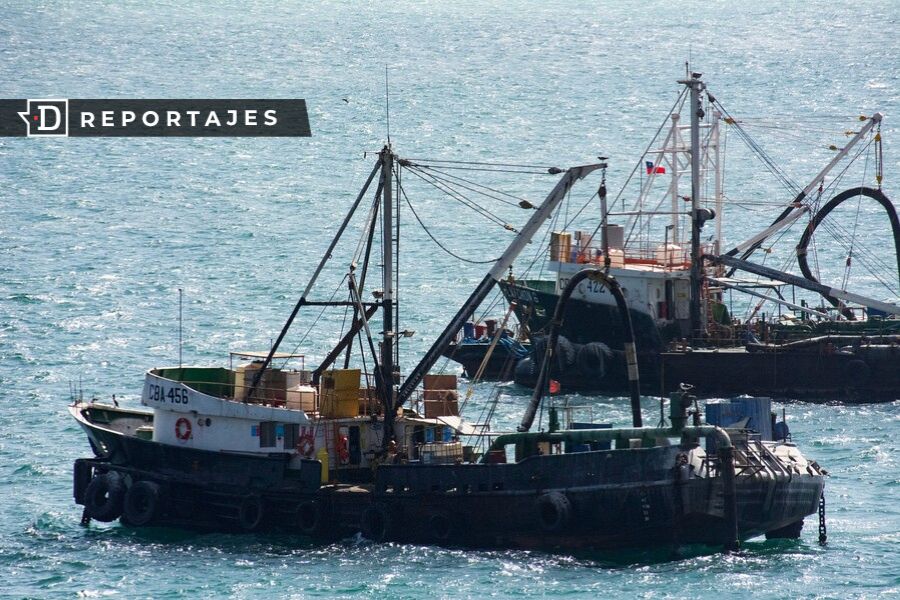 Copy-paste en la Ley de Pesca: castigo a la pesca artesanal e impunidad a la gran industria