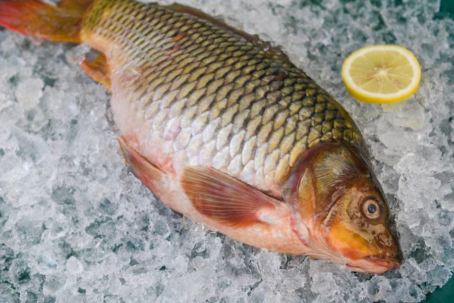 Seguirían aumentando: Decenas de infectados por consumo de pescado crudo en Hong Kong