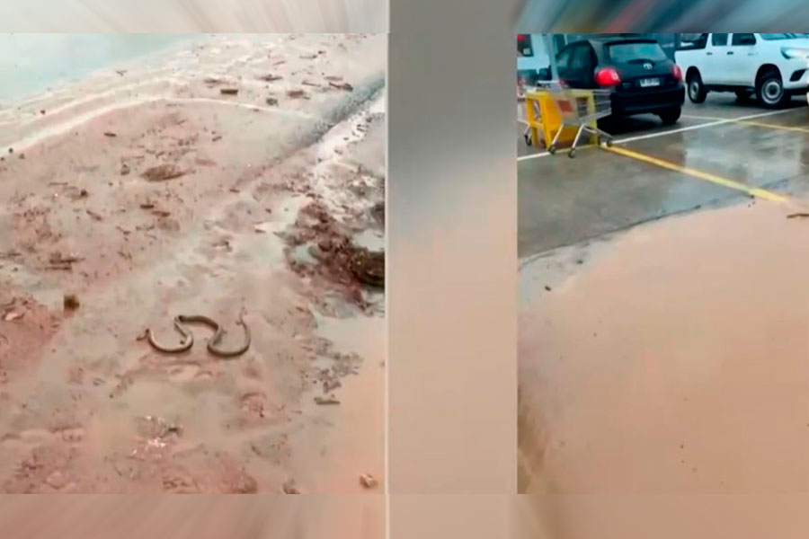 VIDEO| Desborde de canal en María Pinto incluso arrastró una serpiente y destruyó plantaciones